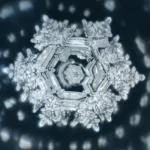 cristaux de masaru emoto