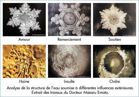 sequoia cristaux emoto